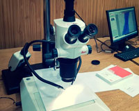 IUPFA a la vanguardia: se incorpora un microscopio de última generación